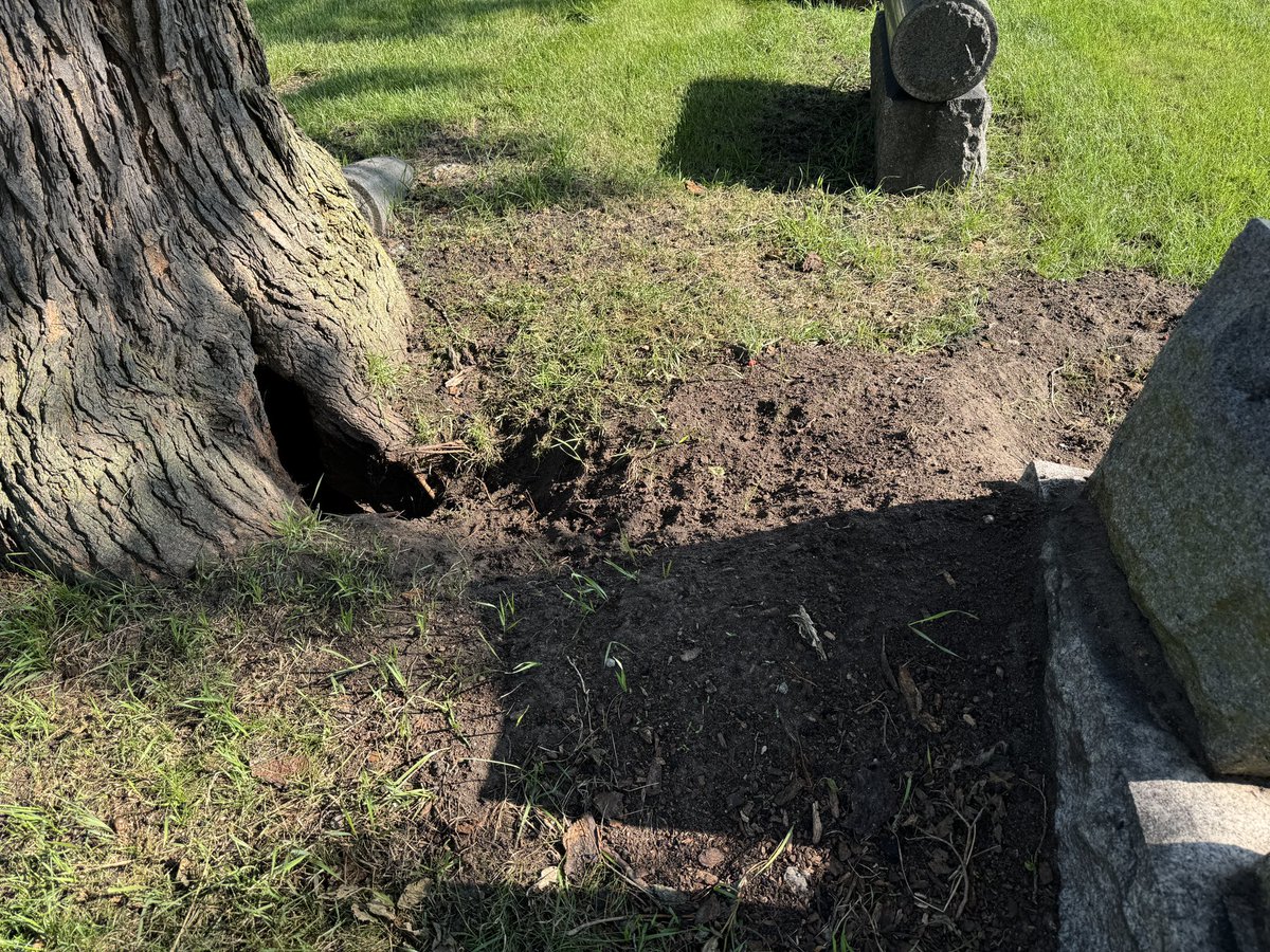 Robert Loerzel tweet media