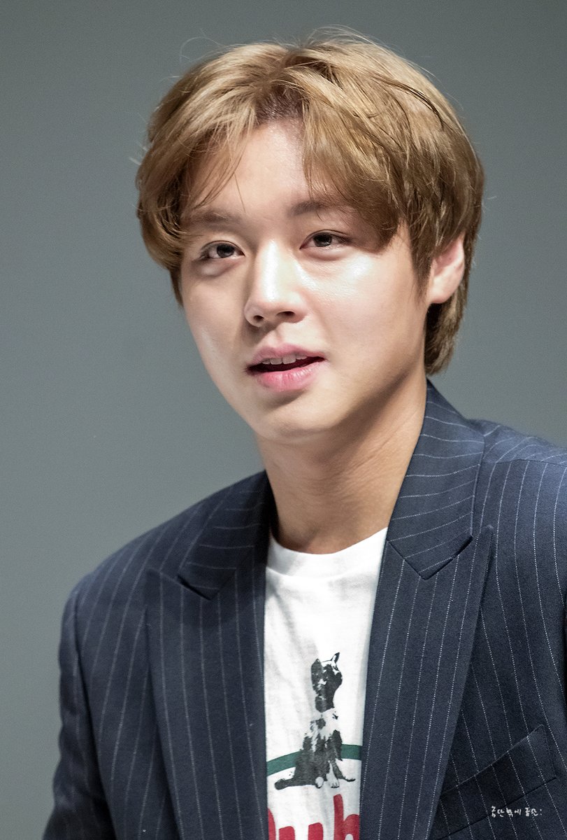 옵단! tweet media