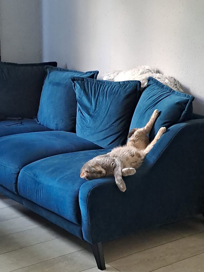 SlenderSherbet's tweet image. Me, the whole week, to everything: "I'll do it at the weekend"

Also me, all weekend: