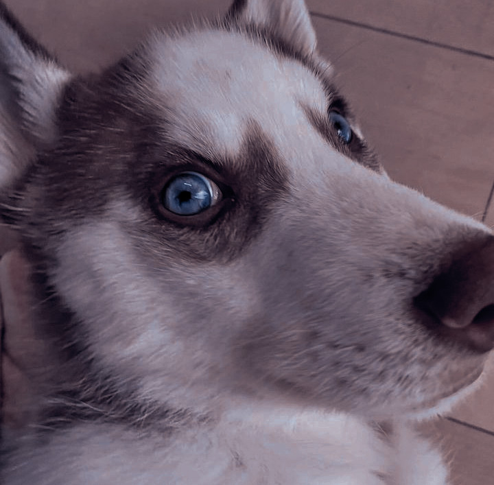 ㅤㅤㅤ
ㅤㅤㅤ나의 매력적인 작은 악마.