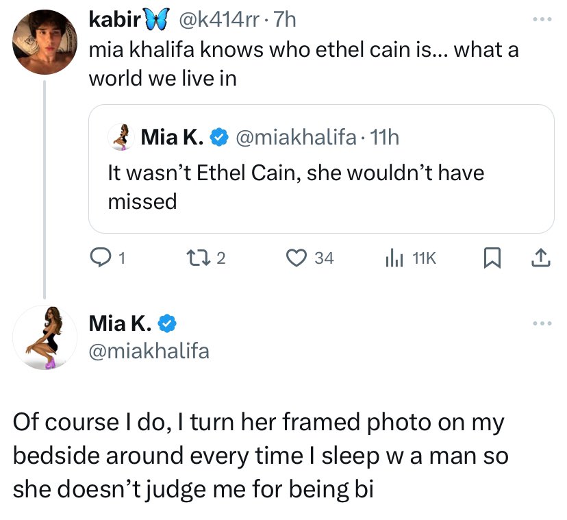 ethel cain's fly tweet media