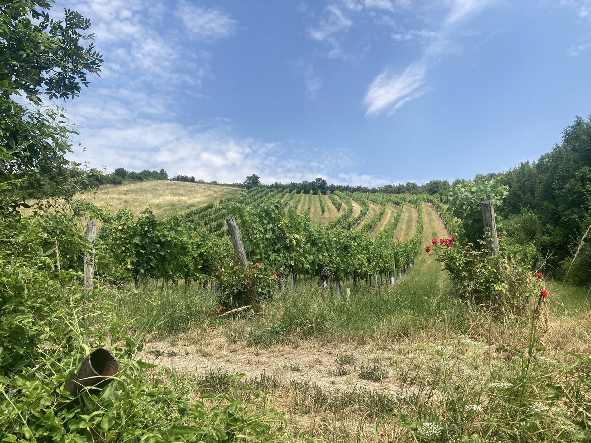 Phil ಠ_ಠ tweet media