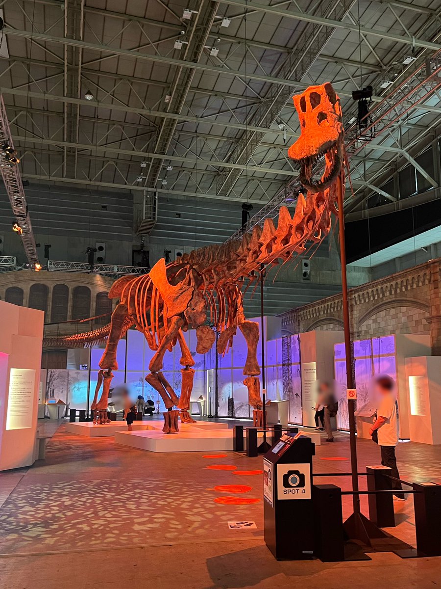supino_Switch's tweet photo. 巨大恐竜展 初日無事楽しめました！
パタゴティタンはメインだけあってほんまに圧巻的でした。
木下先生デザインのシャツの購入履歴を入口出口付近のスタッフさんに提示して可愛いポストカードもGET！
真ん中に設置してくれてるおかげで歩きながら大きさを感じるのが楽しかった… https://t.co/hnOTQ5hu7t