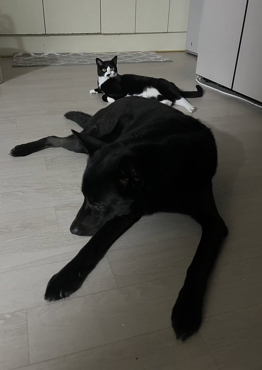 집이 넓어졌지(마-미- 매직)