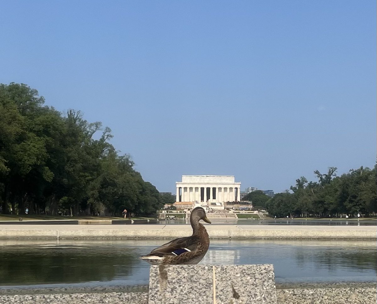 zachwallaceNC's tweet photo. #dcducks https://t.co/GX8NrbgFjK