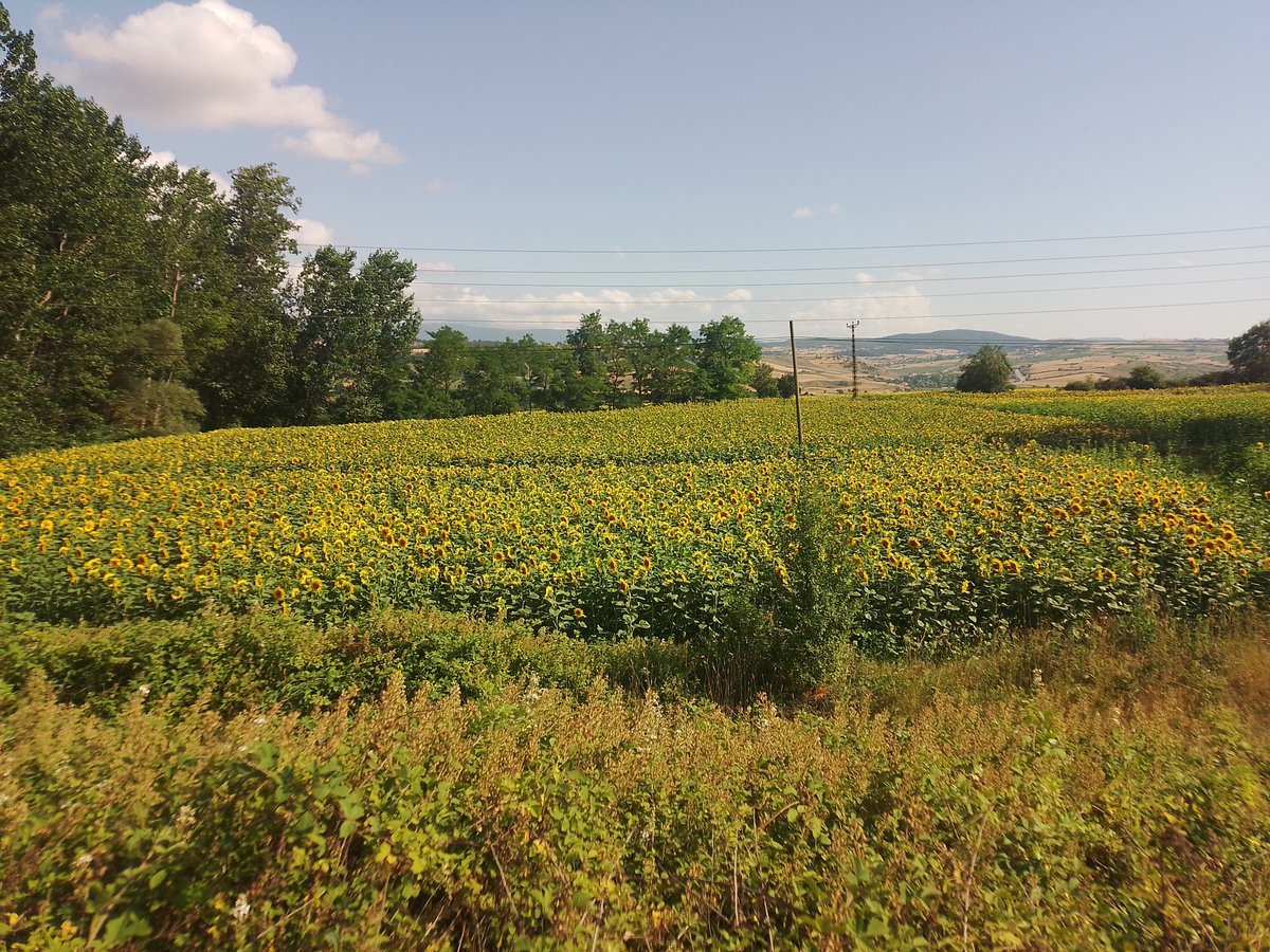 Allah ım Ummadığınız Yerlerden Ummadığınız Vakitlerde Müjdeli Haberler Almayı Nasip Etsin Sizlere