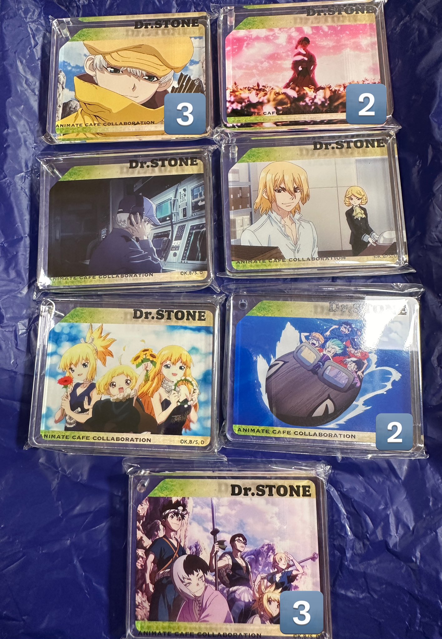 Dr.STONE アニメイトカフェ コロッタ CoLotta 五知将 Dr.STONE』コラボ