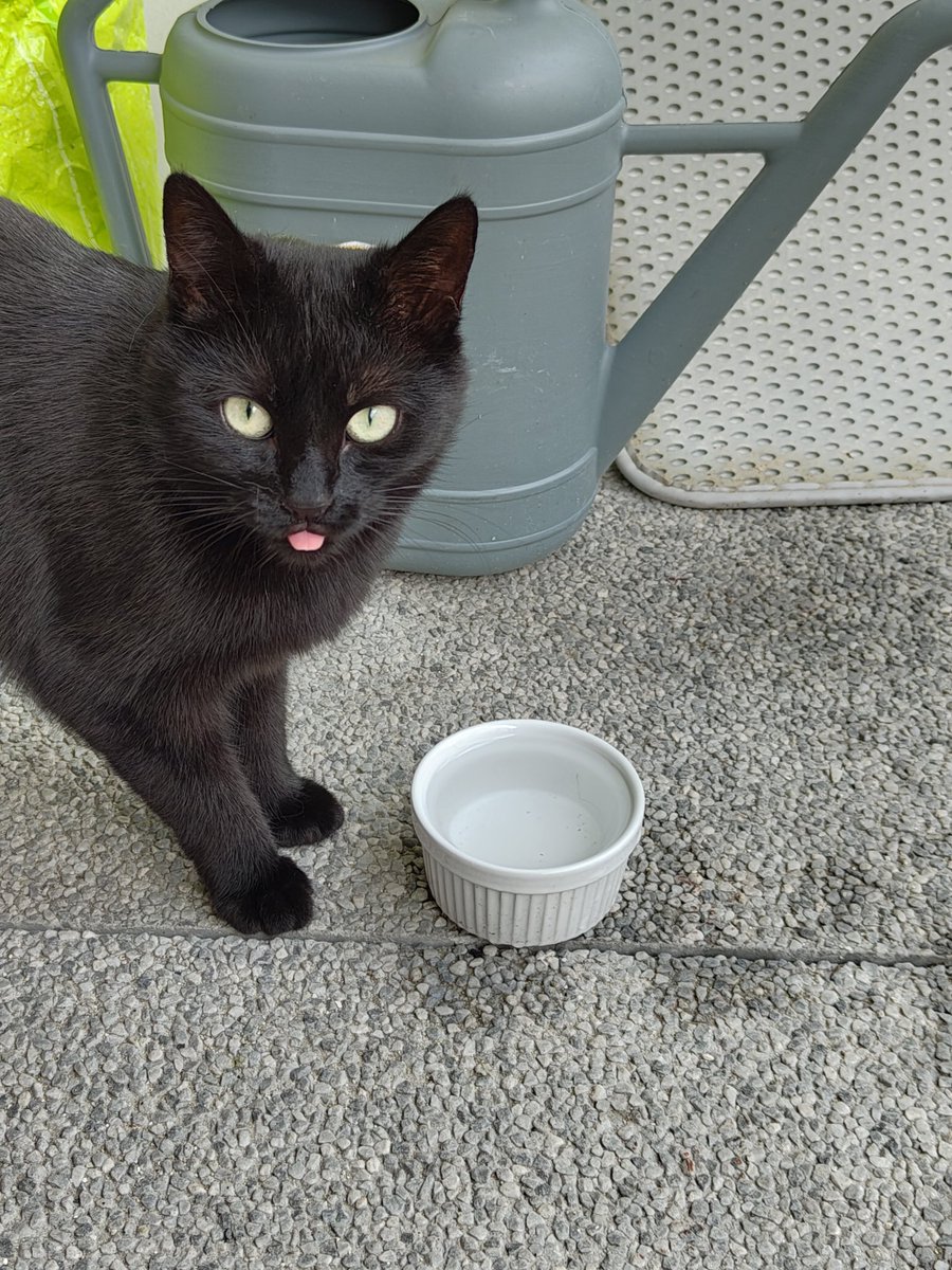 Wonyeon D-101 Longbro DMR 🦀🆑🆎🦀 tweet media