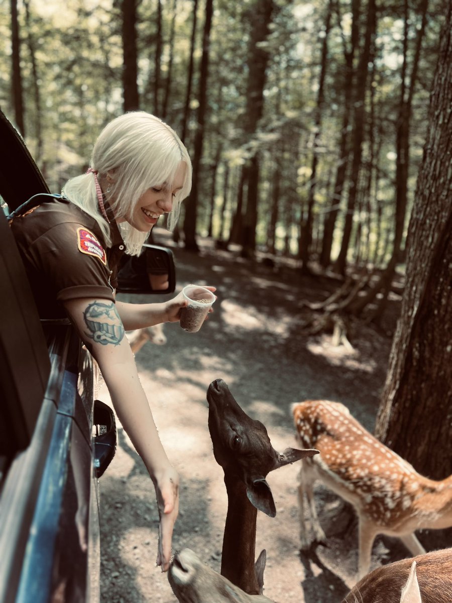 Perox's tweet photo. stop &amp; feed the animals. simple things. https://t.co/guVPDuZIio