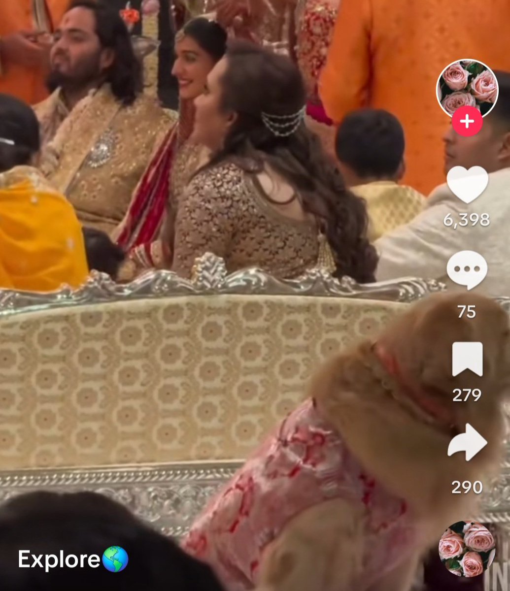 Everyone talking about who was best dressed at the Ambani Wedding this week...  

Me: Their dog is 100% the superstar here. 10/10 best dressed winner in my eyes. 

♥️🥰🐕🐾