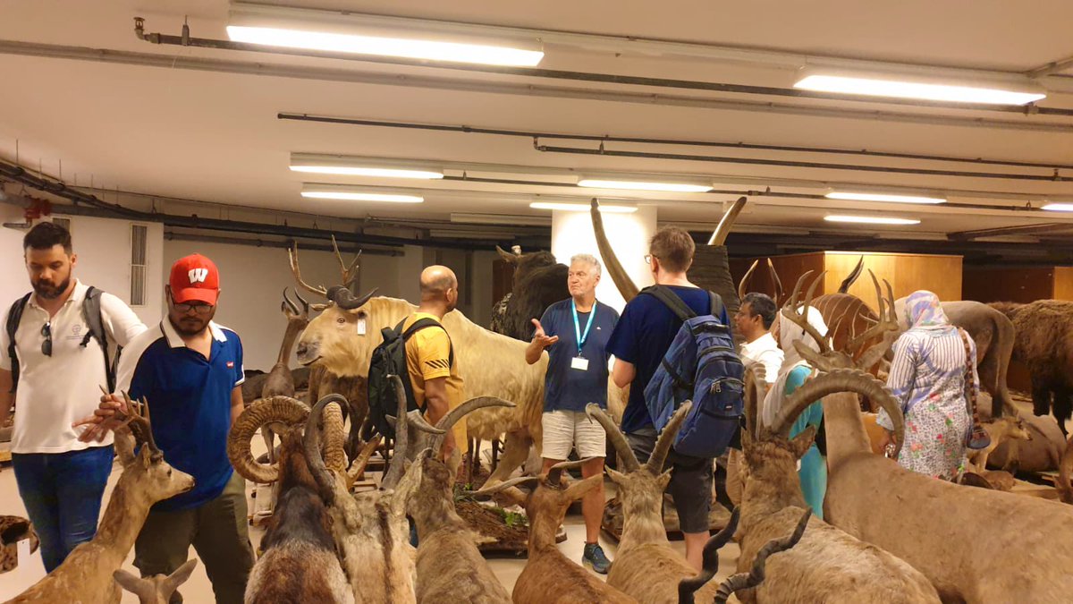 Vectoract2023's tweet photo. π Kicking off the #Vectoract program with a bang! π Big thanks to the Natural History Museum Budapest and the National Laboratory of Virology BSL-4 lab in Pecs for the fascinating tours. ποΈπ¬ To beat the heatwave, we headed to the stunning Mecsek mountain lookout. https://t.co/ybERySbdFL