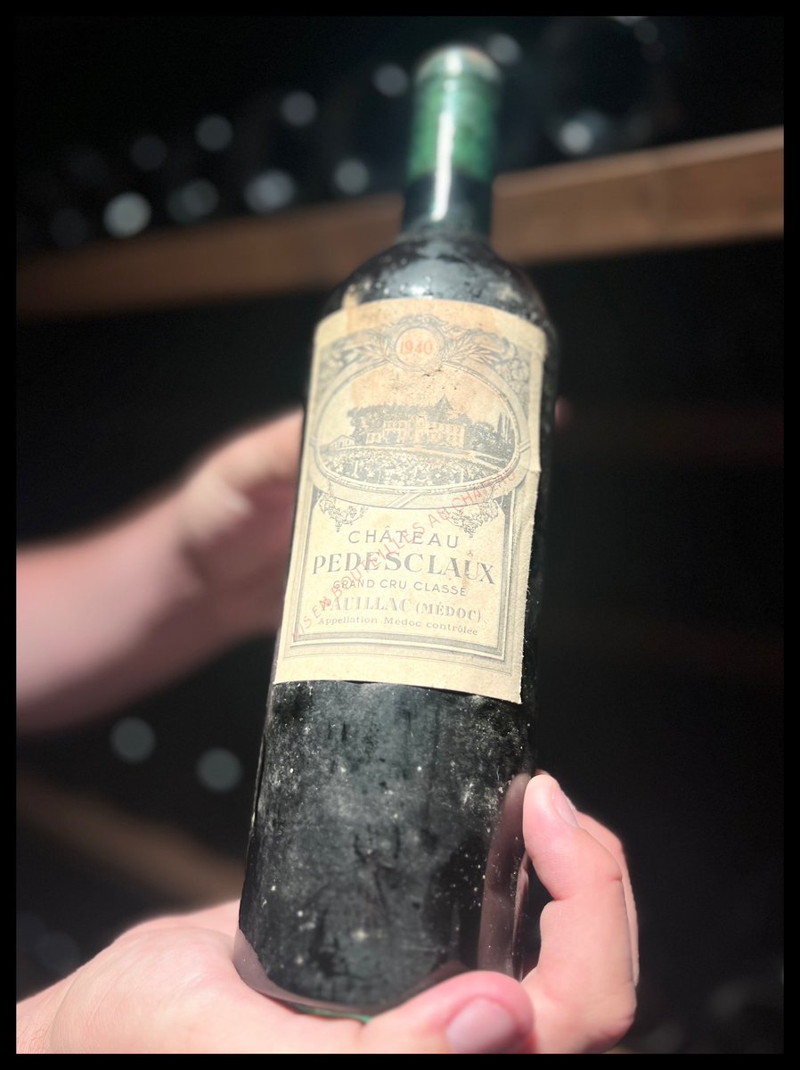 charlotte langrand 🎥🍽️ tweet media