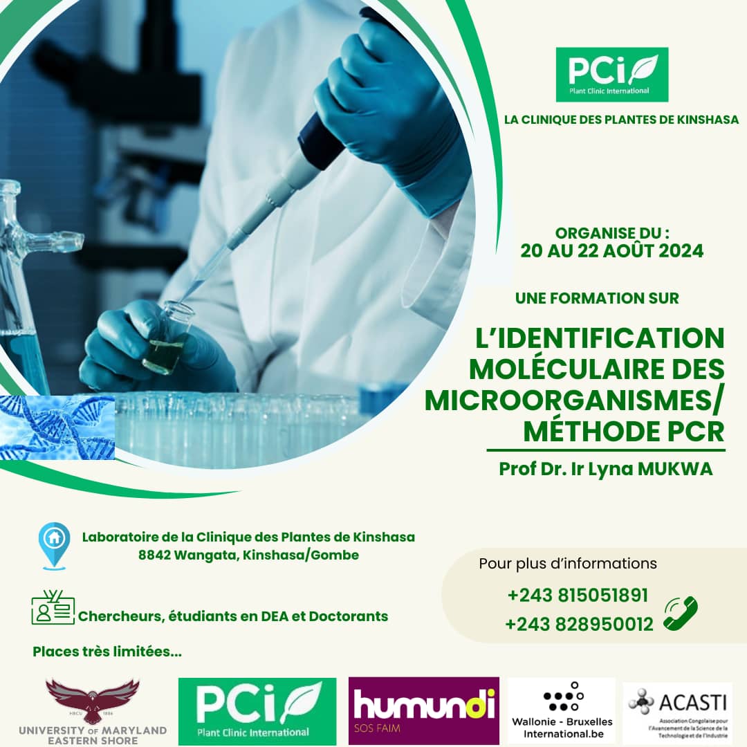 Bornagues🇨🇩Kubakidi tweet media