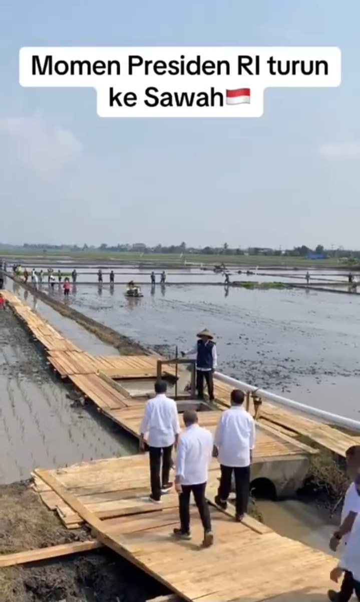 PutraMelay6837's tweet image. Mungkin dengan cara sering jalan-jalan ke sawah Indonesia bisa swasembada beras..

#Eeh, TAPI
Harga beras di Indonesia Tertinggi di Asean

Impor beras Indonesia Jutaan Ton !!