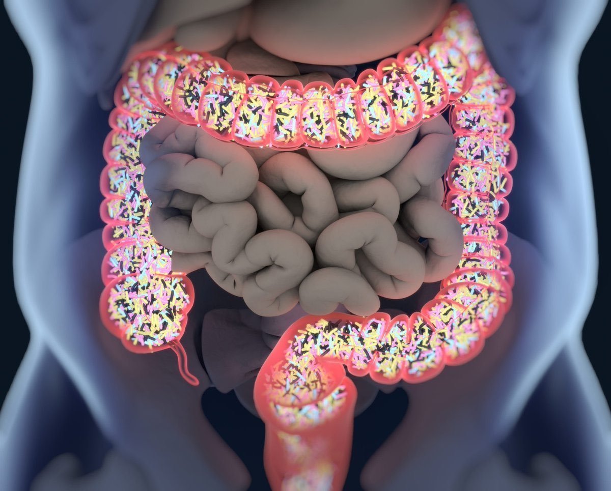 Wealthnationx's tweet photo. If you want to fix your gut health, here's every tip I could come up with:

1.  Stop drinking alcohol https://t.co/gYrkpdfUQu