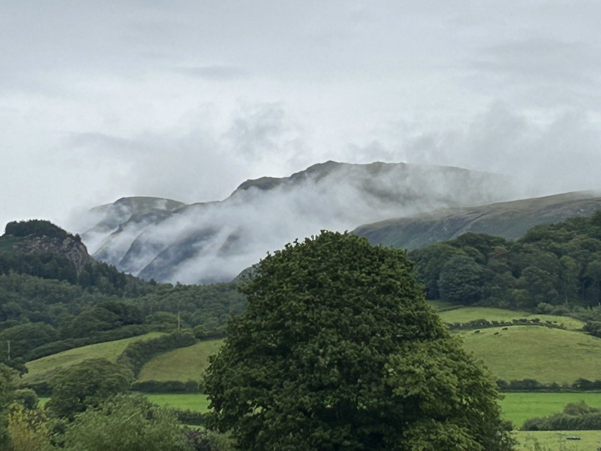 Ian Warren tweet media