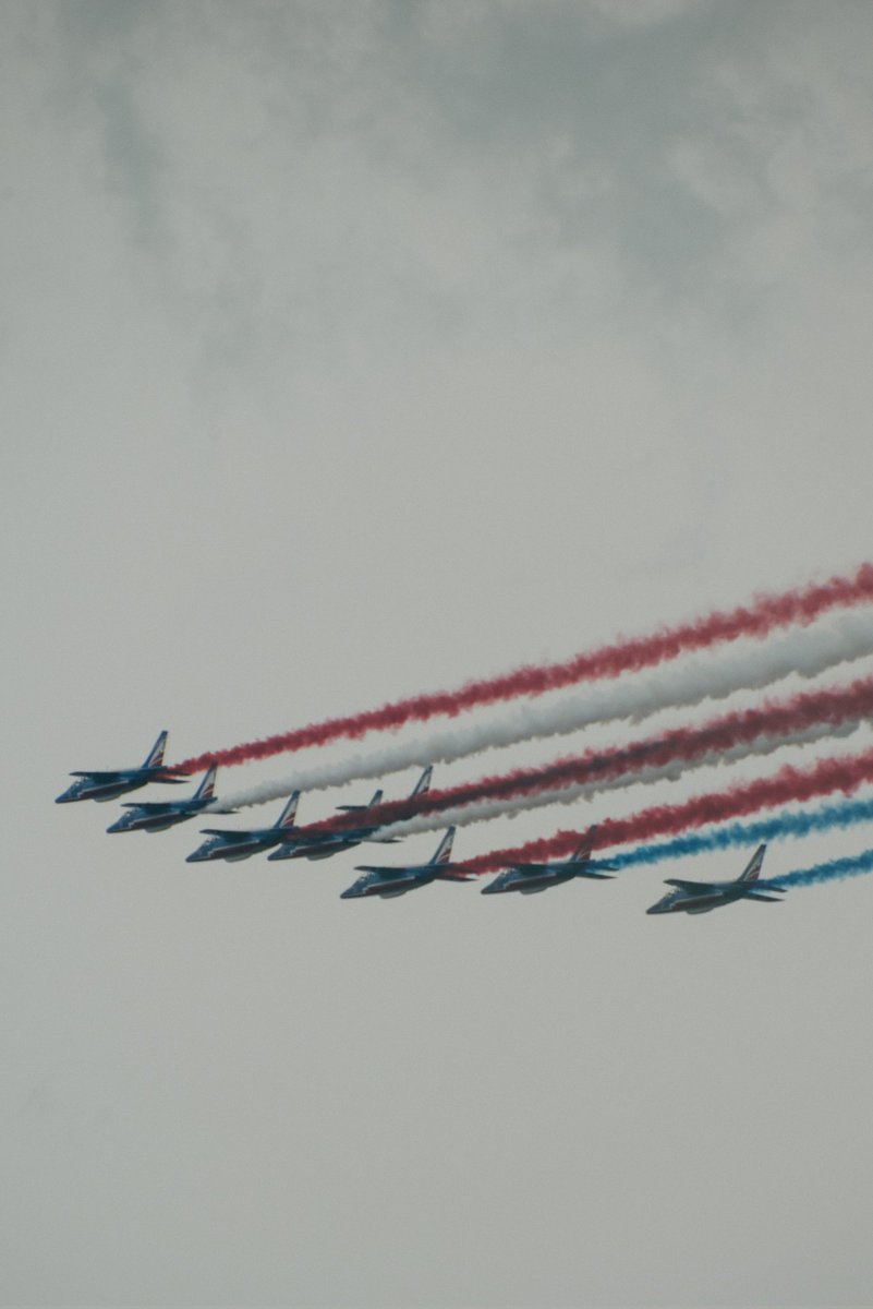 Adrien Thibault tweet media