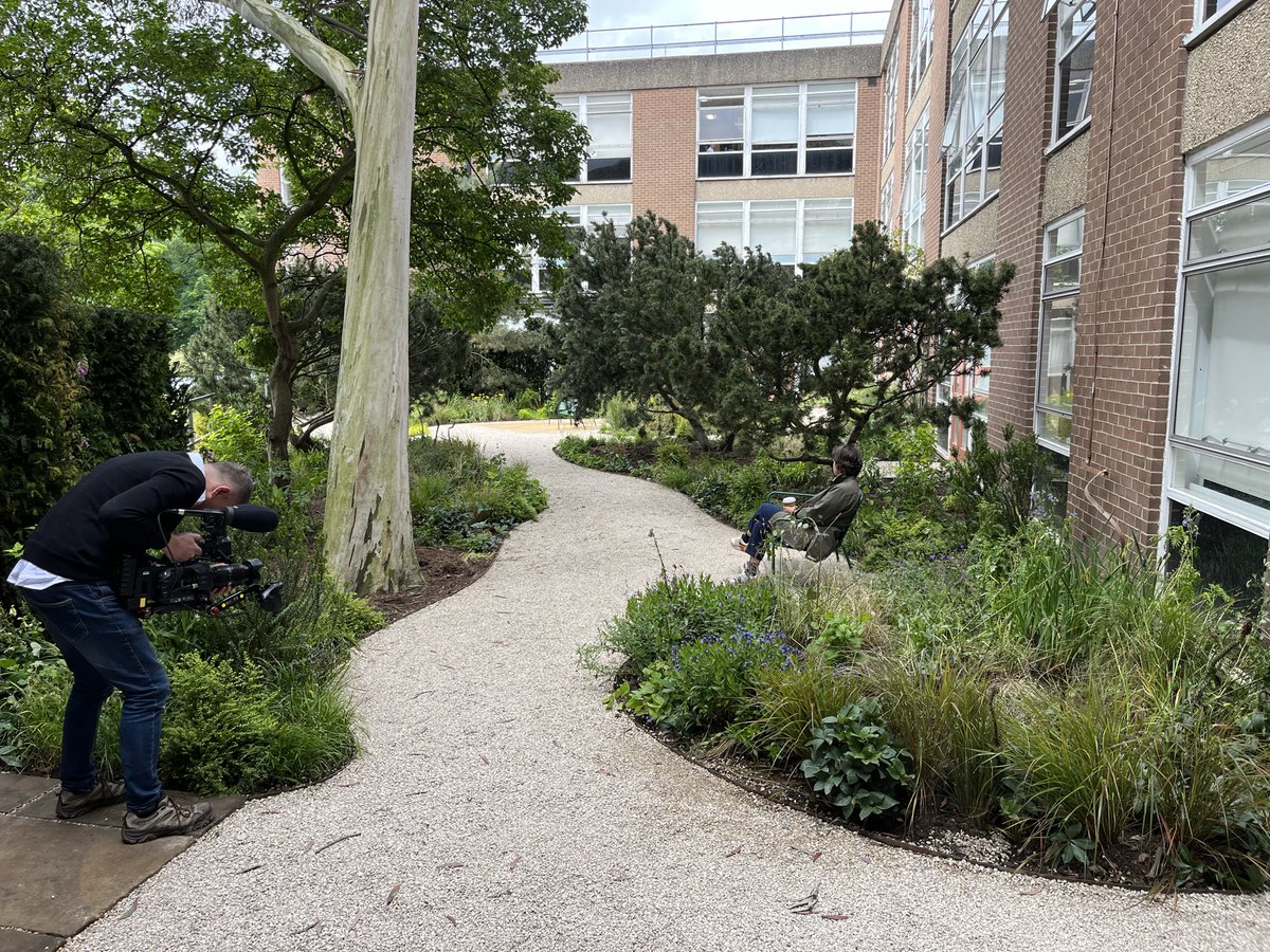 First Light Landscaping tweet media