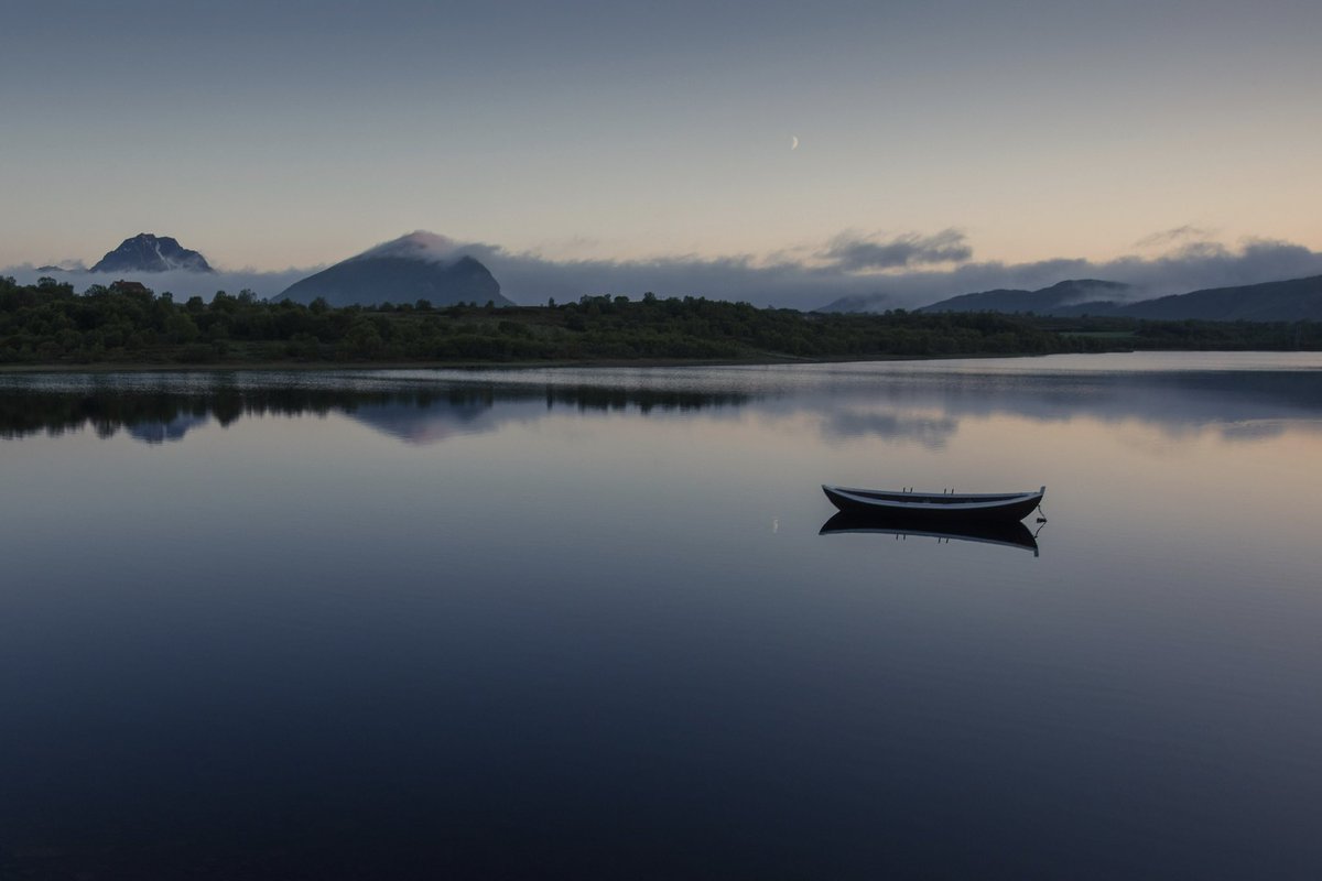 Ida Hollis tweet media