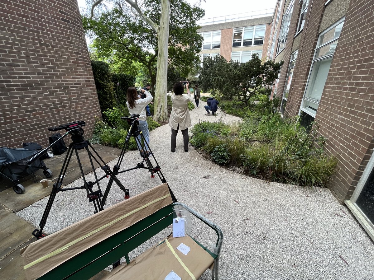 First Light Landscaping tweet media