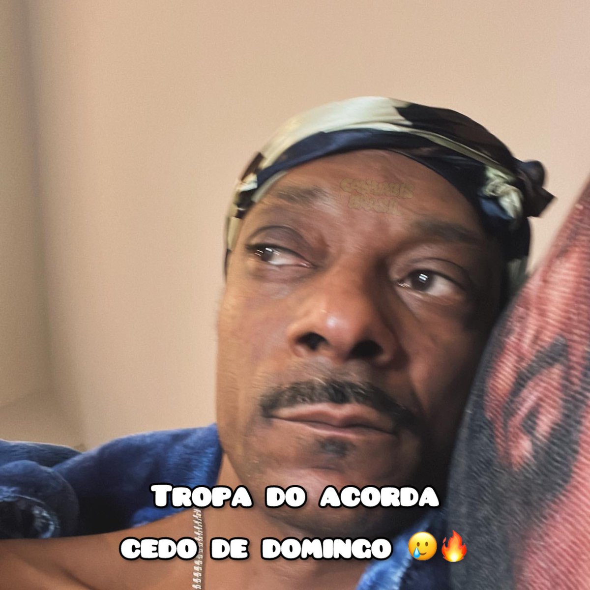 Cannabis Brasil (@canabisbrasil) on Twitter photo 