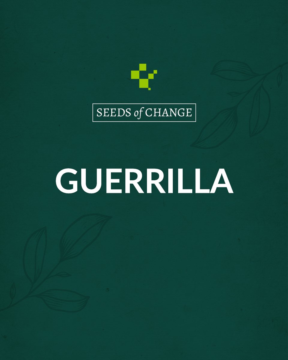 pdcglasgow's tweet photo. Big budgets aren't everything! Get creative with guerrilla marketing tactics that generate buzz and attract new customers on a shoestring.

#SeedsOfChange #CreativeMarketing #LowCost #HighImpact https://t.co/wQXfQ95WOq