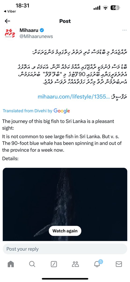 hunaish's tweet photo. @Mihaarunews Sadly google ain’t doing such a good job in translating dhivehi https://t.co/wQ9DIm7Yyl