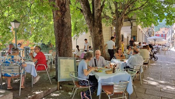 ☀️ Además de visitar el imponente 🕍Monasterio, te invitamos a explorar la naturaleza 🌳🌺 pasear por encantador 🤩 Centro Histórico y disfrutar de una buena comida 🥗 en algún a de las maravillosas terrazas de #SanLorenzoDeElEscorial

¡Vive una experiencia completa y única ❤️!