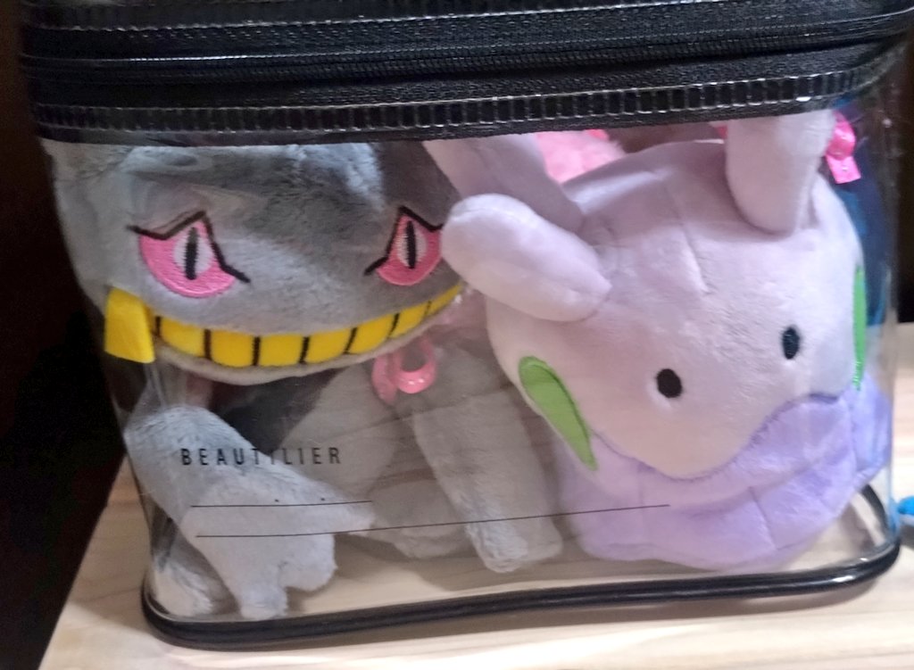 ポケモンfit複数持ち歩きたいなと思ってたらダイソーにちょうどいい