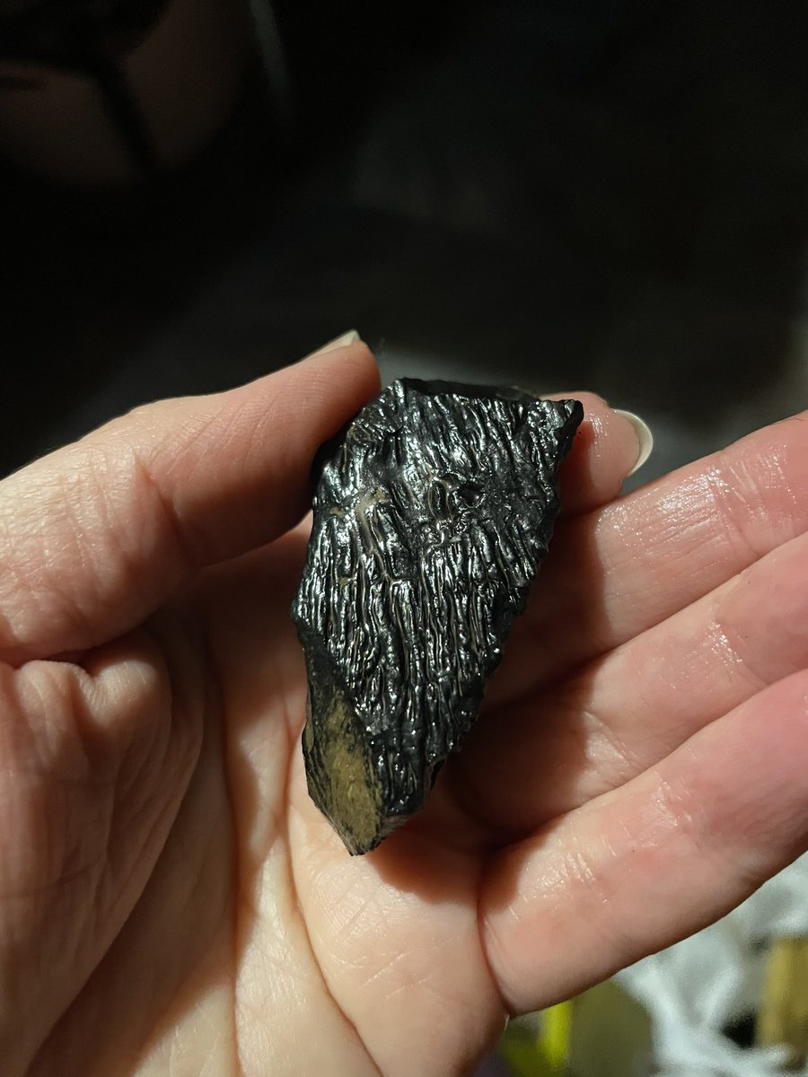 Tanya Loos tweet media