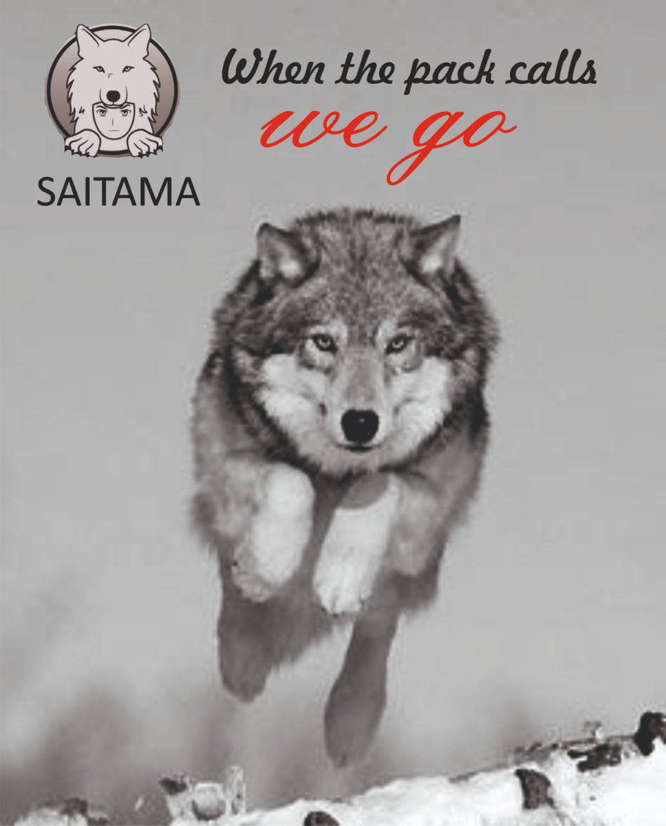 queendanne21's tweet photo. #Saitama @SaitamaInuERC20 

We’re gonna do it AGAIN!
If you know, you know 🐺🔥🚀

0x0000e3705d8735ee724a76f3440c0a7ea721ed00

#meme #pepe #doge #Brett #bullrun #crypto 
https://t.co/ibzQLwBpWI

@JakeGagain @BleevesCrypto @MrBigWhaleREAL @MartyCryptoLife @saitama_98 https://t.co/nAdplsBOAi