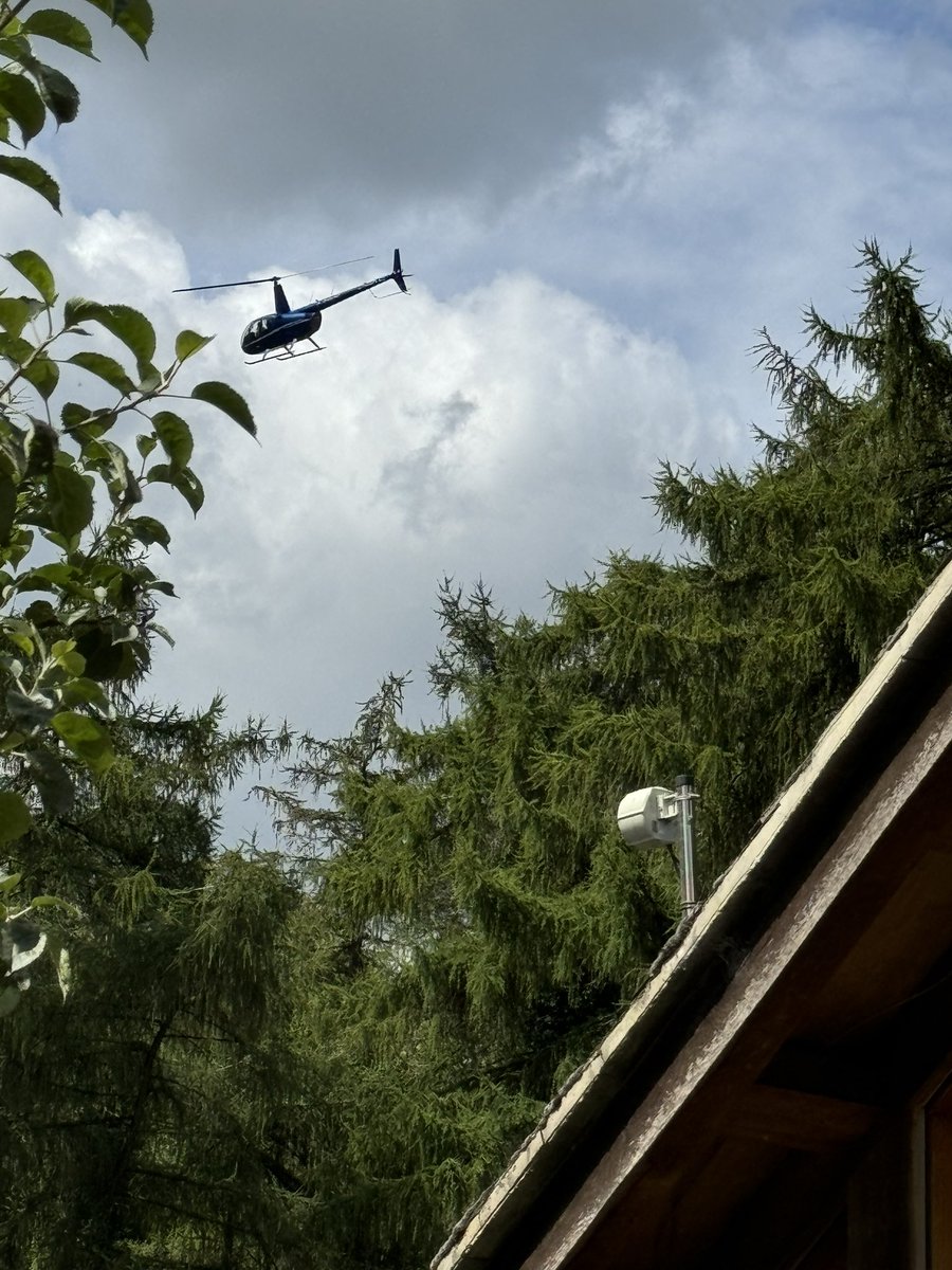 🐬 John G tweet media