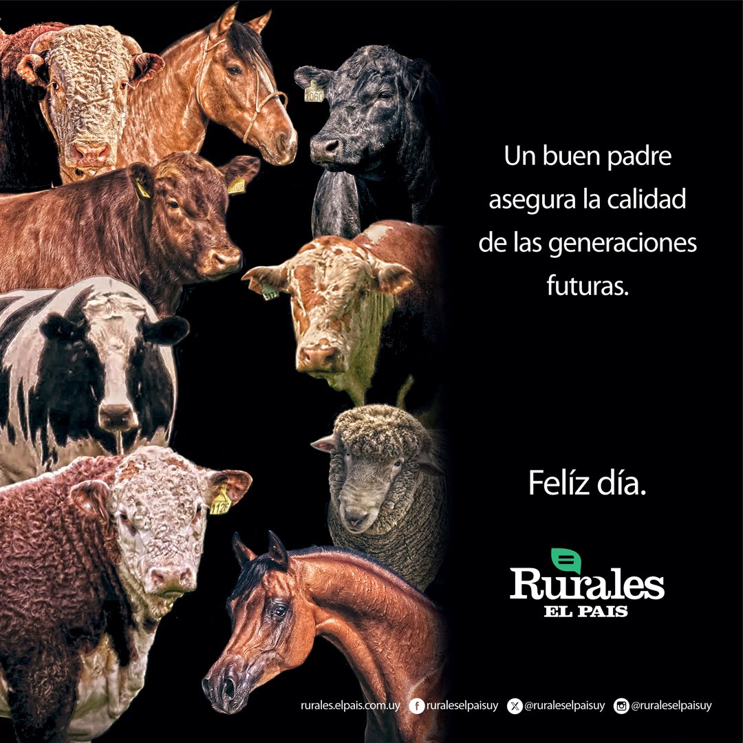 Pablo D. Mestre (@pablodmestre) on Twitter photo 