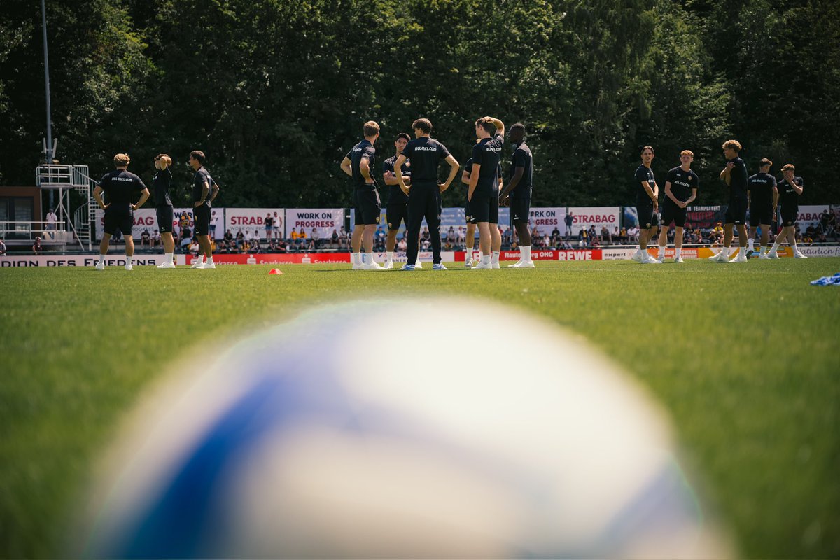 SG Dynamo Dresden tweet media