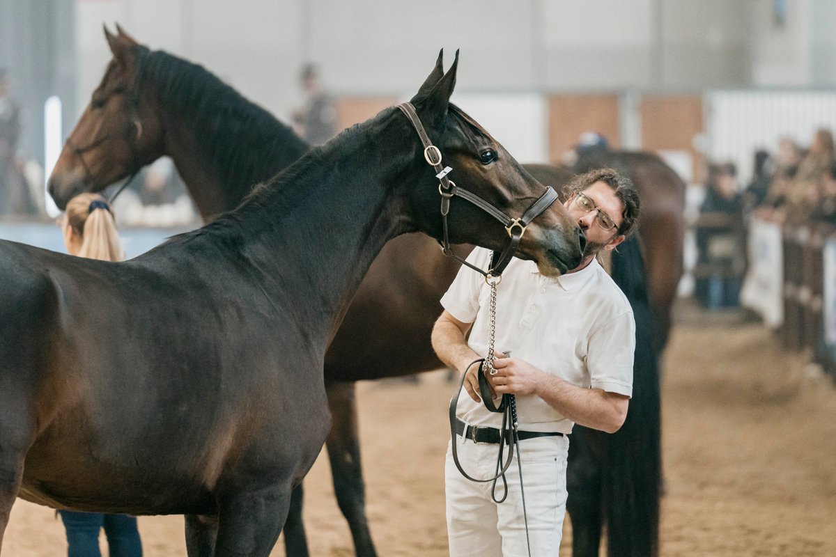 fieracavalli tweet picture