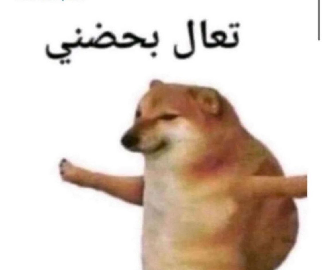 Egyptianmemees's tweet photo. طريقتي الوحيدة فالمواساة والتعبير عن الحب والعتاب والحزن https://t.co/wPzOAKXji0