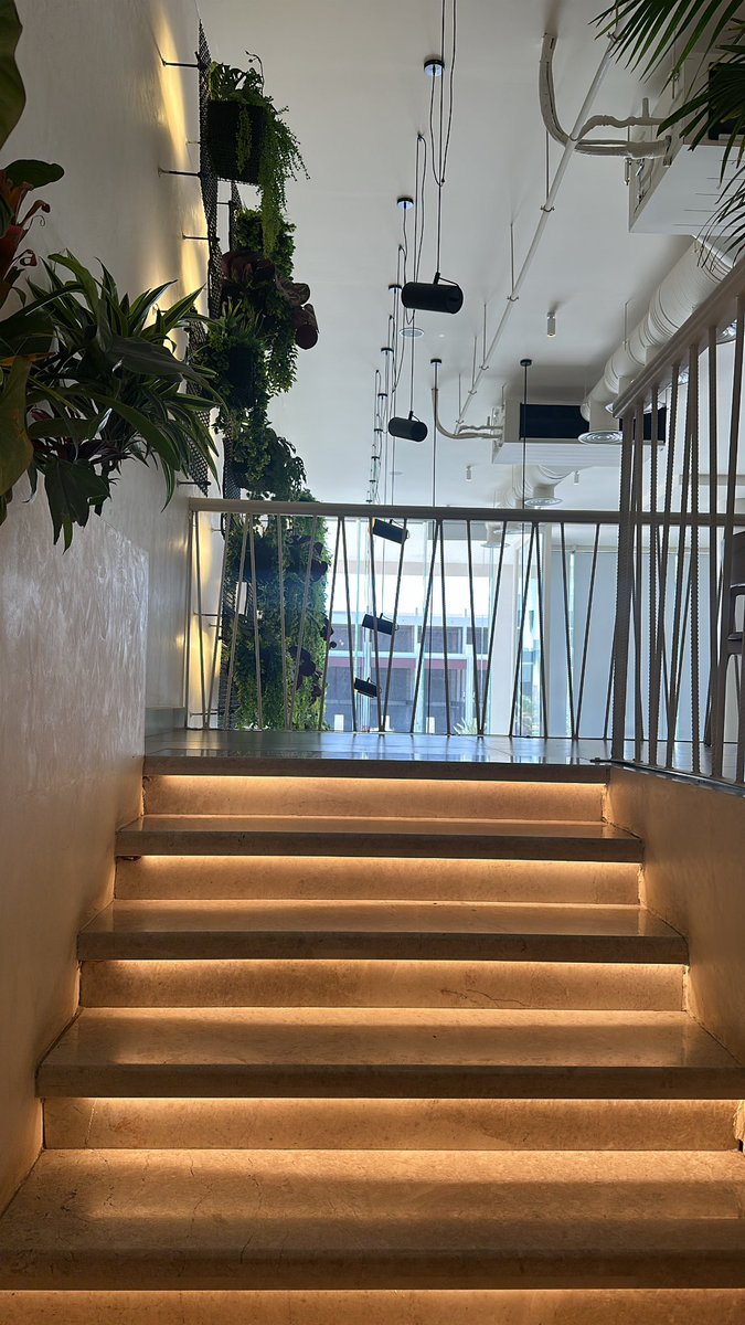 و غداً نخبر أحلامنا بأن الأمر لم يكن سهلاً ، 
ولكن وصلنا 🪴