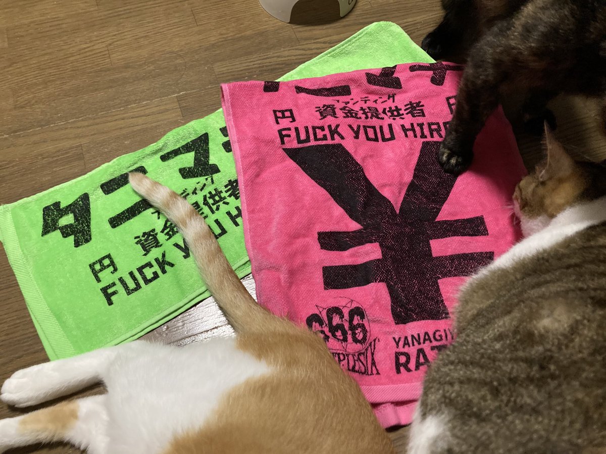 Boriborico's tweet photo. 今日はようさん飲んで踊って笑ってタニマチった。
#pr666 #RATBONES https://t.co/4f54Gu5w1q