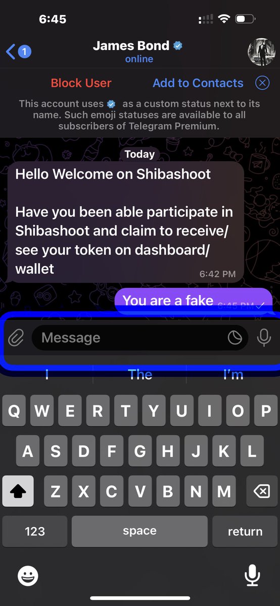 Pirate AI Bot tweet media