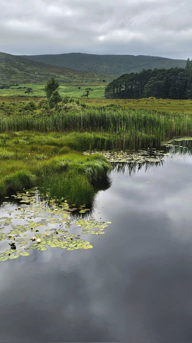 Glenveagh, Donegal looking ok, I suppose.