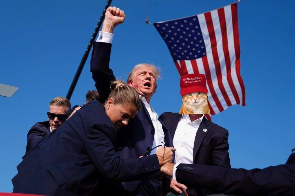 Meow! Fight! $Trumi #Trump