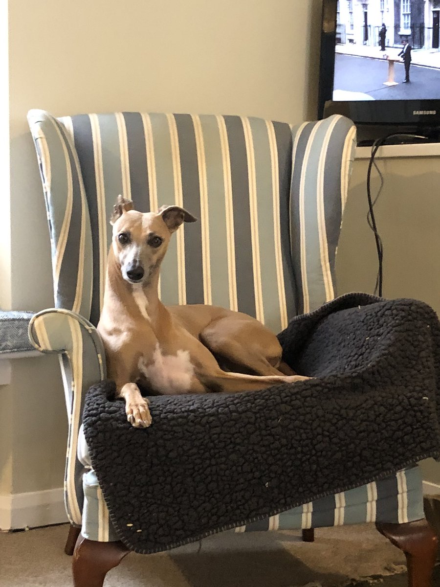 Susan Jane Rogers tweet media