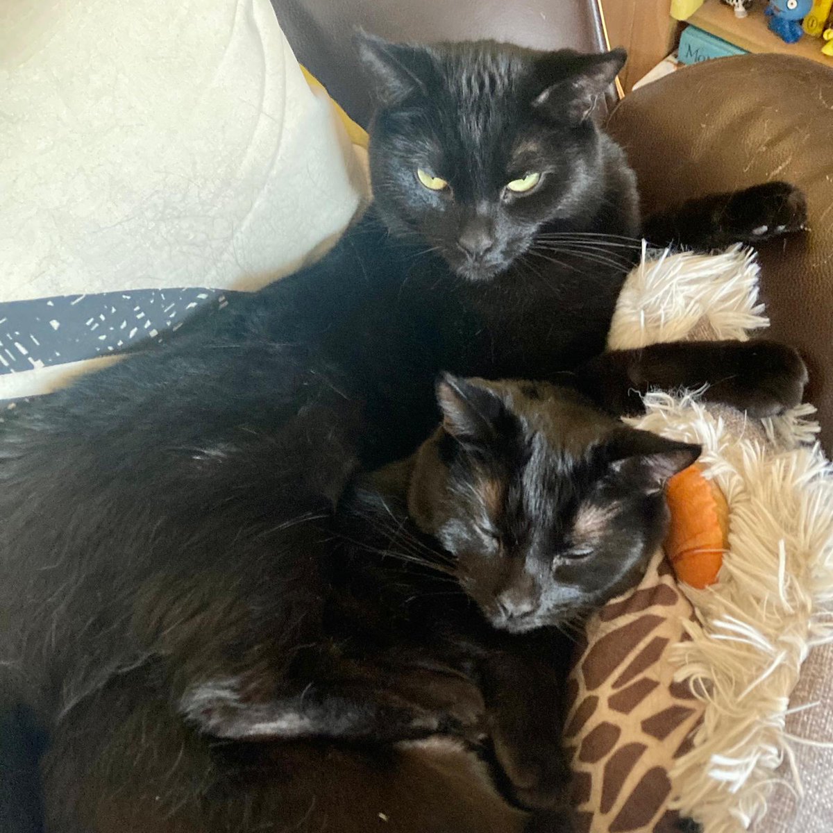 Don't subscribe to our newsletter? Then get yesterday's news TODAY!

(If nothing else, it will help you kill another two nervous minutes before 8pm tonight. 🤞🫣⚽️)

bit.ly/colossivenewsj…