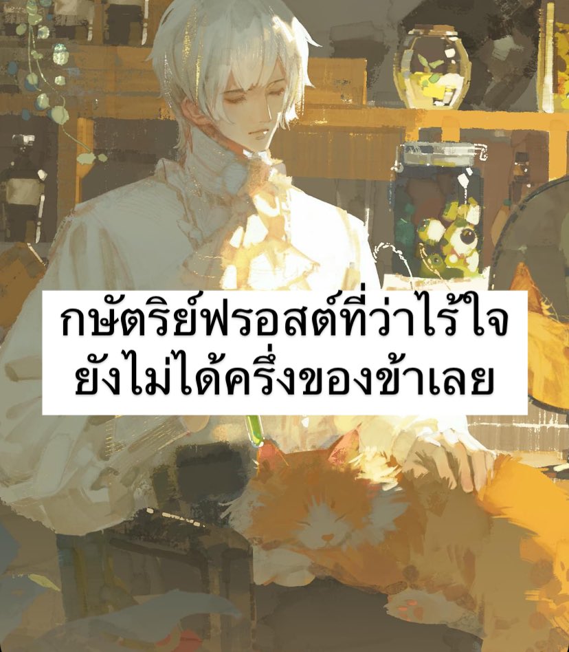 😸 #แมวส้มเจ้าของร้านค้าโพชั่น