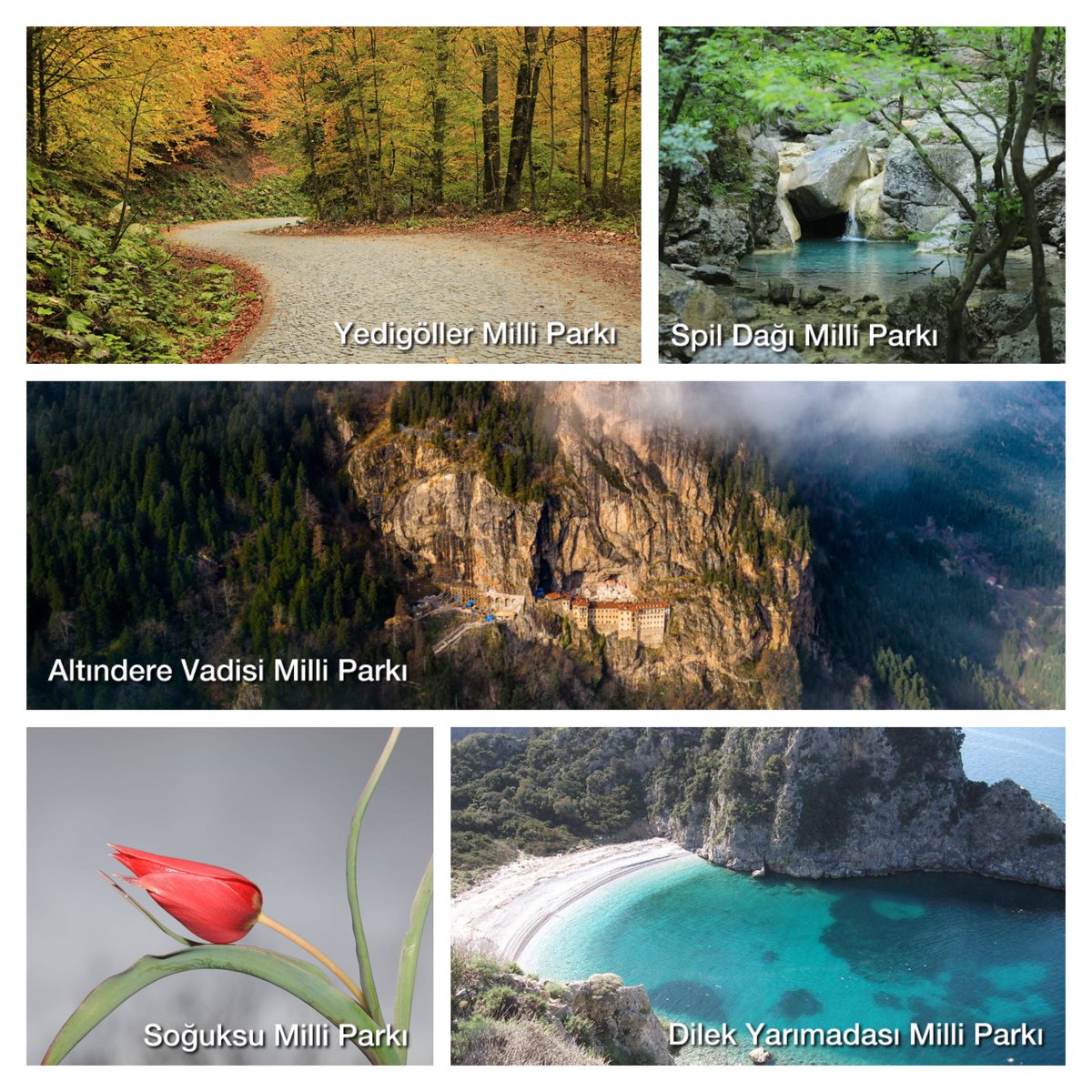 TCTarim's tweet image. Hazır yeri gelmişken 😊

📍Spil Dağı / Manisa
📍Yedigöller / Bolu
📍Dilek Yarımadası / Aydın
📍Soğuksu / Ankara
📍Altındere Vadisi / Trabzon&apos;da bulunmaktadır.

Siz değerli gençlerimizi eşsiz doğaya sahip @milliparklar&apos;ımızı keşfetmeye bekliyoruz. 

#KPSS2024 KPSS