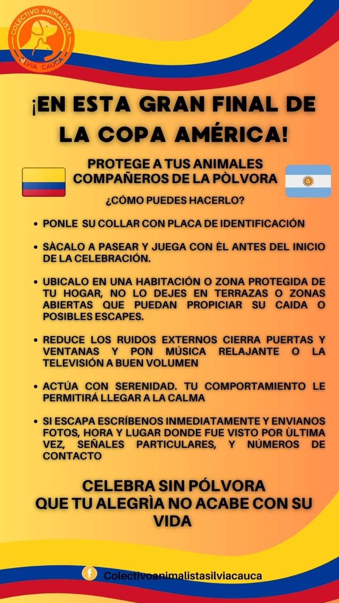 Vivamos el fútbol en paz. Apoyemos a nuestra Selección y digamos NO a la pólvora <a href="/luisfervelascop/">LuisFernandoVelascoP</a> <a href="/DiaAnimales/">Al Día Con Los Animales 🐾</a> <a href="/a/">Ani</a>