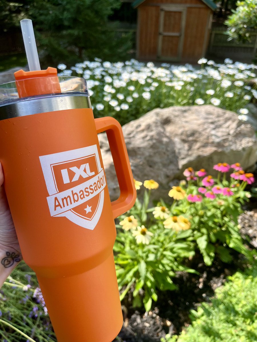 Michelle Nye tweet media