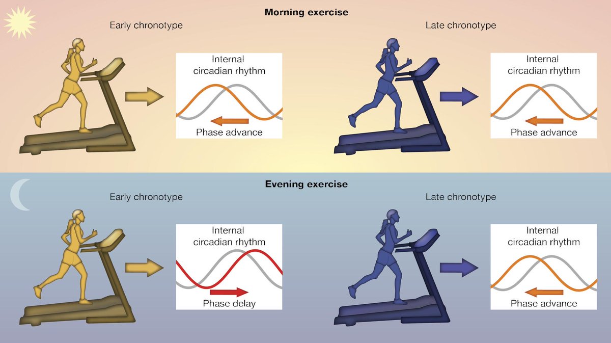 So what does this mean? Essentially, if you are an EARLY RISER, and you exercise at night, this may make it HARDER to fall asleep earlier and shift your internal clock later in the day. In other circumstances, exercise makes it EASIER to fall asleep earlier /7