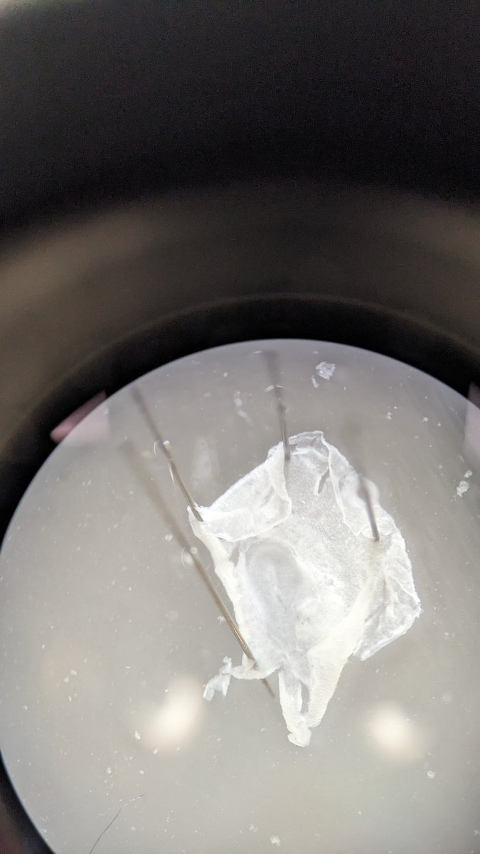 Sumit Garai tweet media