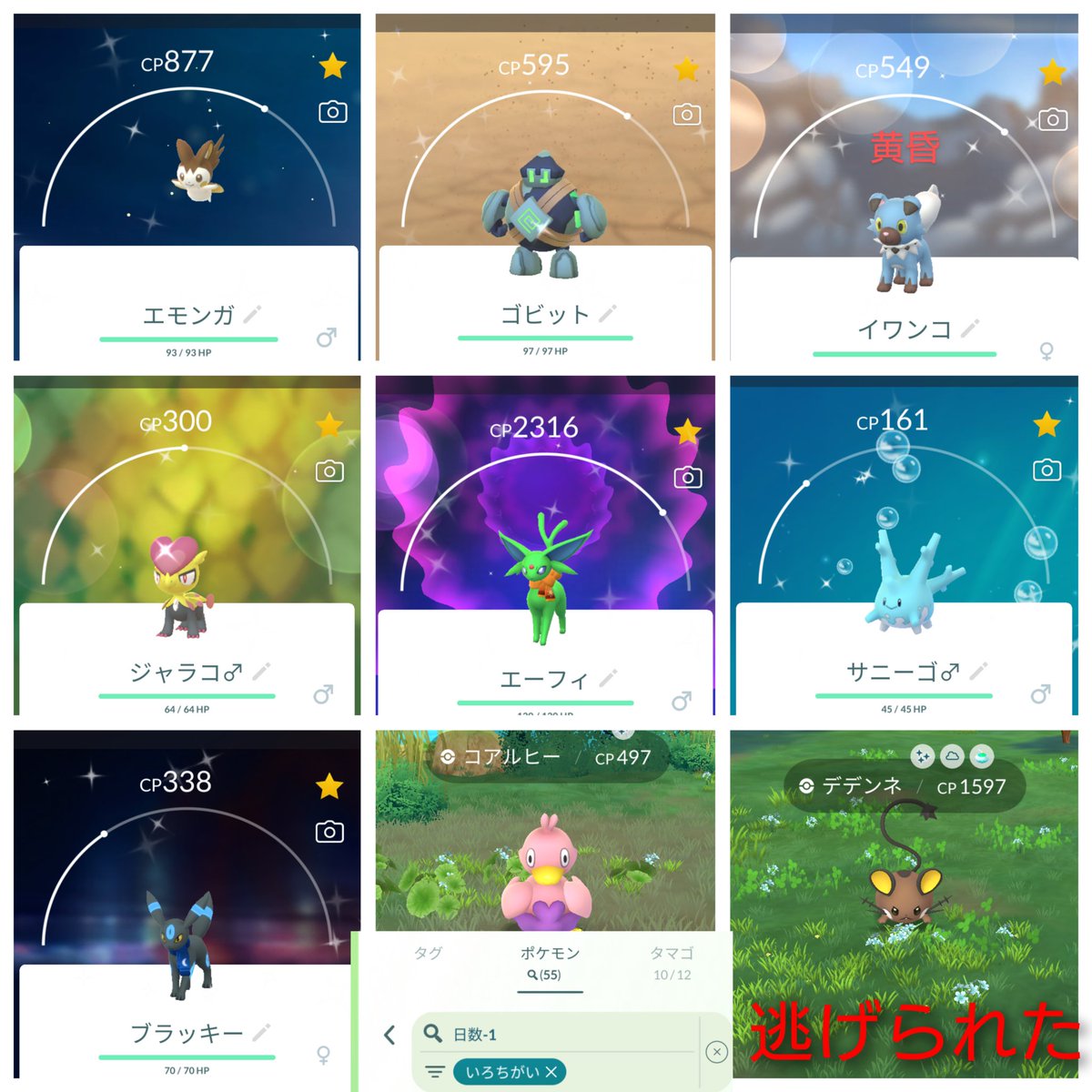 rabobar2022's tweet photo. 2日間お疲れ様でした。
家族と一緒にやれたし、色違いもたくさん出たのですごく楽しかった。
デデンネ、次は逃さんぞ!!
#ポケモンGOグローバル
#PokemonGOfest2024
#ポケモンGO
#ポケモンGO色違い https://t.co/23Rc4pUx9e